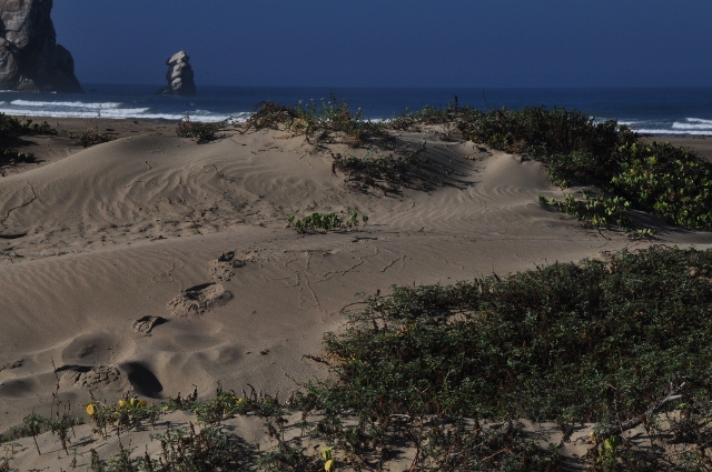 Morro Rock